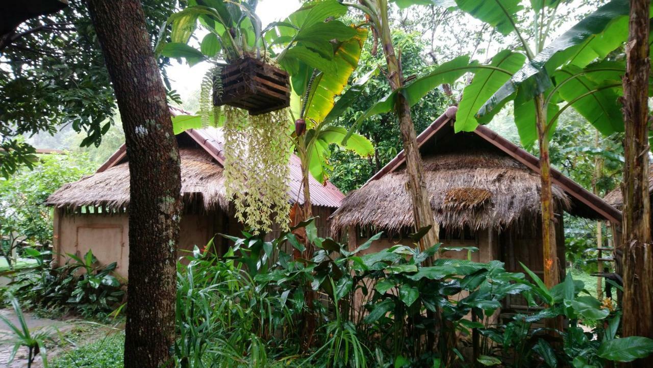 Hill Tribe Art House Daire Chiang Rai Dış mekan fotoğraf