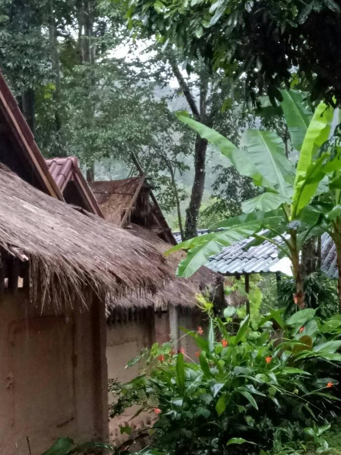 Hill Tribe Art House Daire Chiang Rai Oda fotoğraf