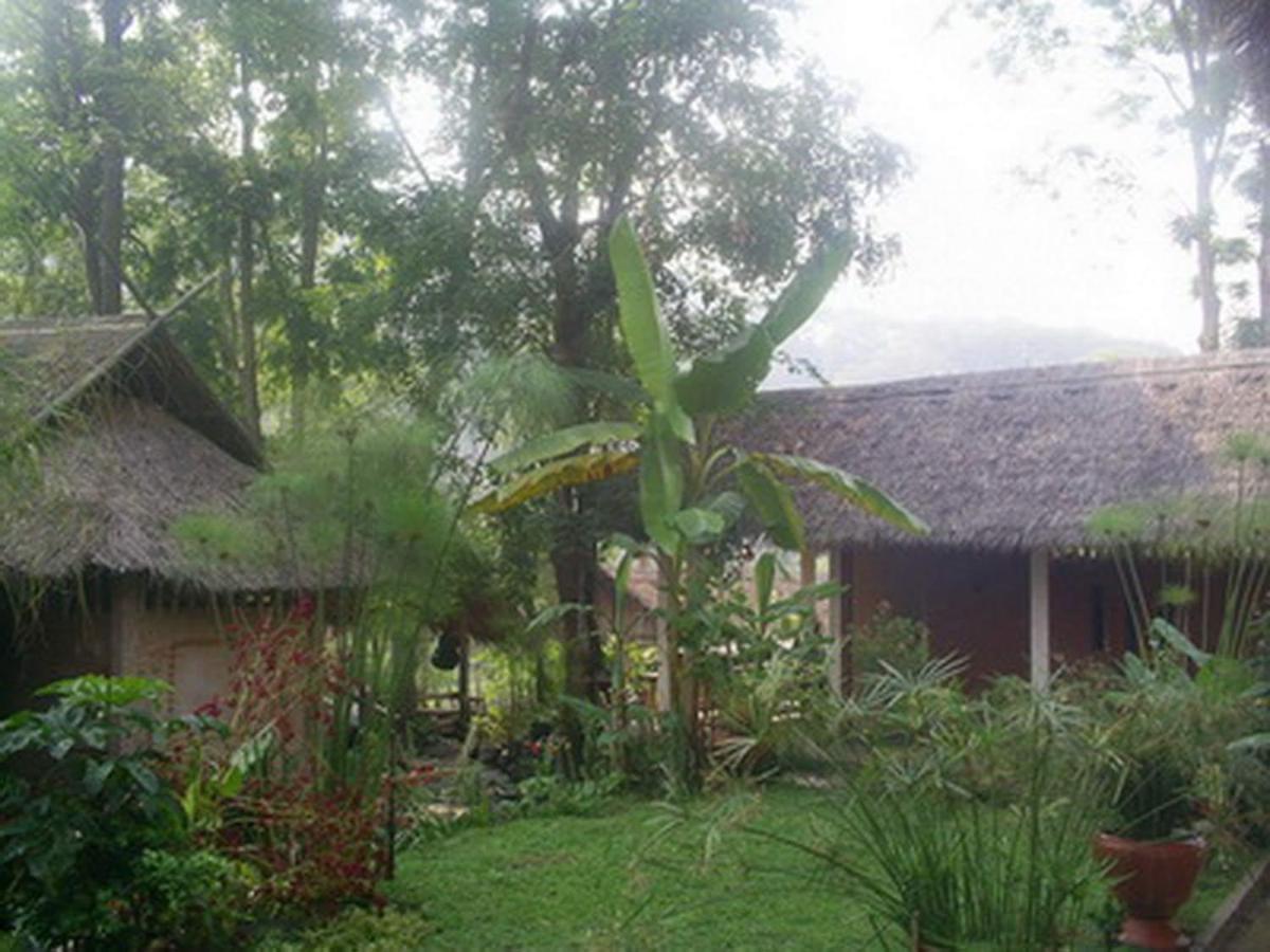 Hill Tribe Art House Daire Chiang Rai Oda fotoğraf
