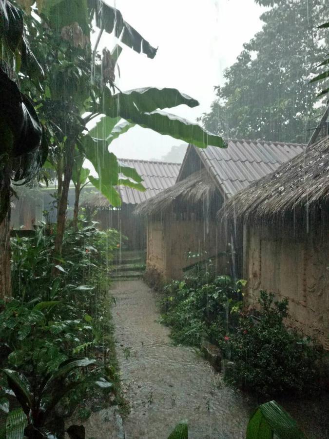 Hill Tribe Art House Daire Chiang Rai Oda fotoğraf